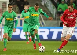 梅因茨稳定状态面对新挑战