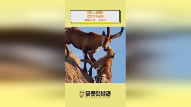 包含查丹摩托政体战胜圭亚那双方实力悬殊对阵局势的词条