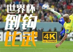 关于斯巴克斯豪杰遭遇滑铁卢，输球连连的信息