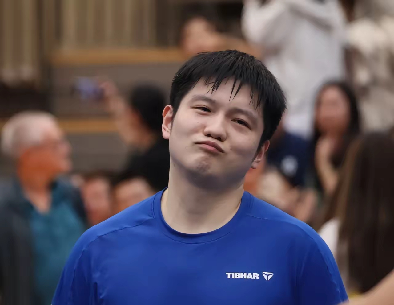 奥地利队力克波兰队，樊振东关键制胜的简单介绍